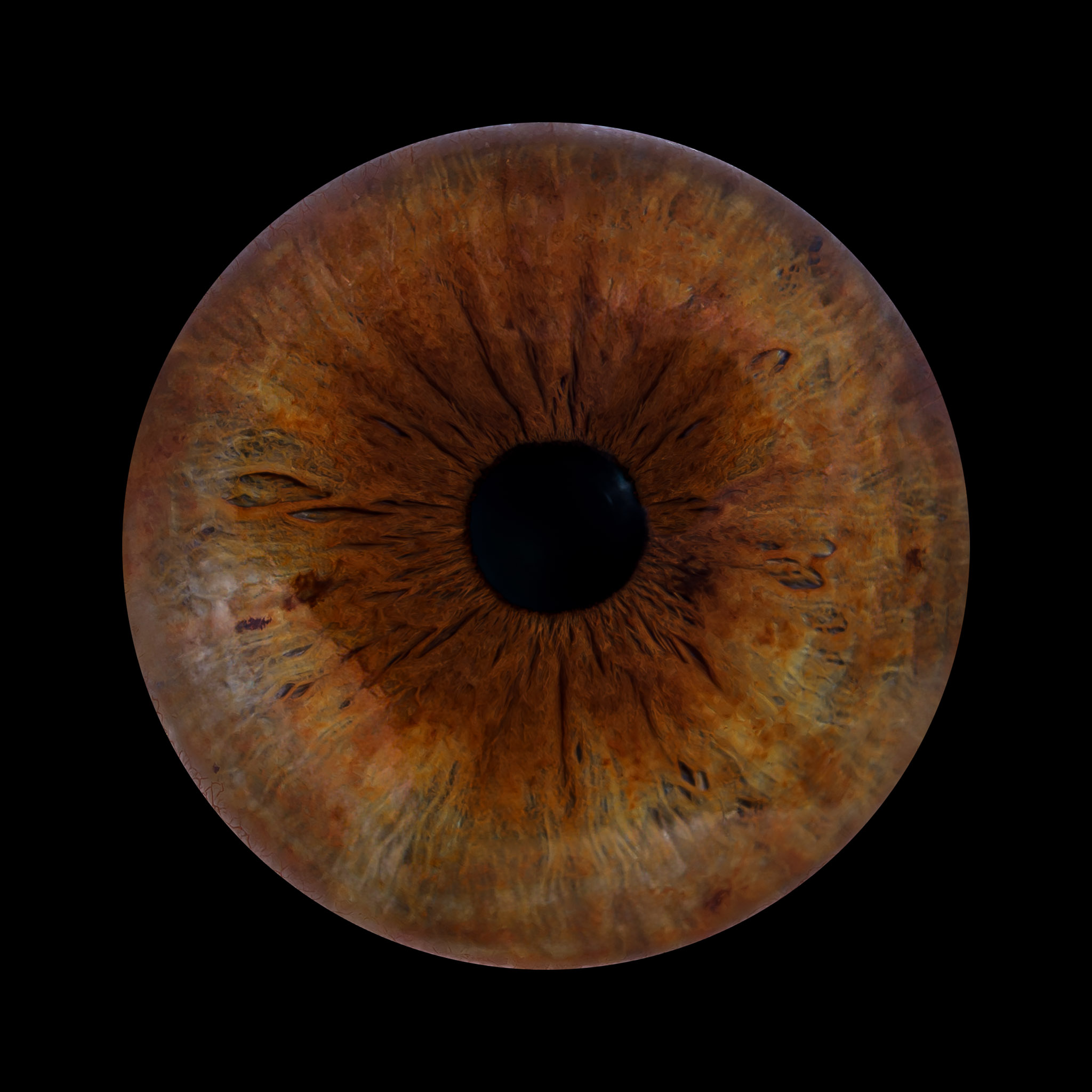 Iridography – macro photography of the eye iris, LA.ART Studio