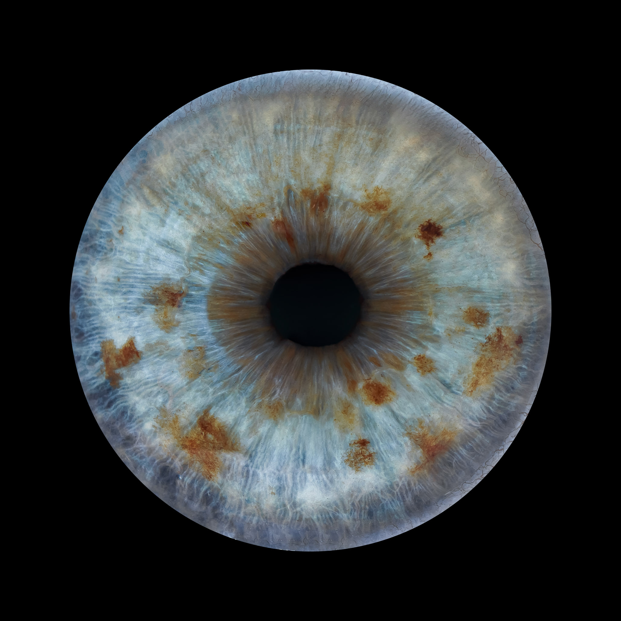 Macro eye photography – a unique iris portrait
